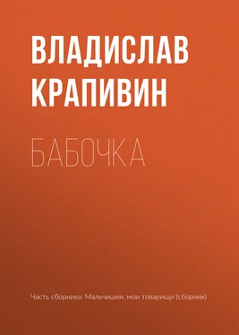 Владислав Крапивин Бабочка обложка книги