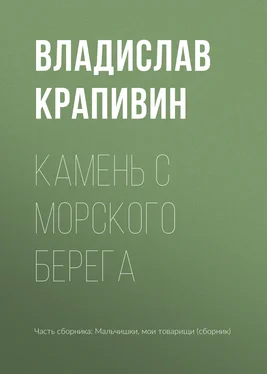 Владислав Крапивин Камень с морского берега обложка книги