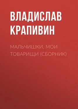 Владислав Крапивин Мальчишки, мои товарищи (сборник) обложка книги