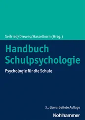 Handbuch Schulpsychologie