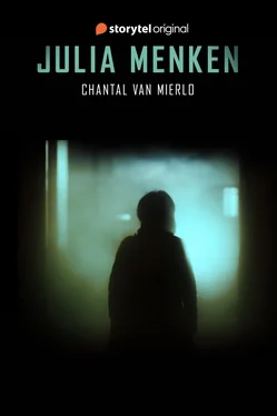 Chantal van Mierlo Julia Menken обложка книги