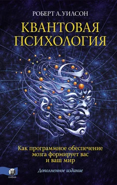 Роберт Уилсон Квантовая психология. Как программное обеспечение мозга формирует вас и ваш мир обложка книги