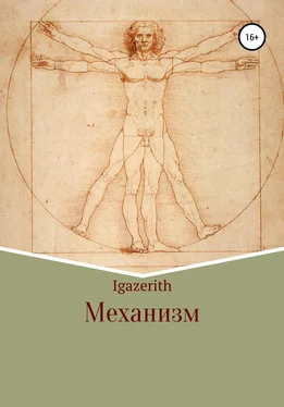 Igazerith Механизм обложка книги