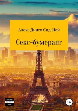 Алекс Динго Сид-Ней Секс-бумеранг обложка книги