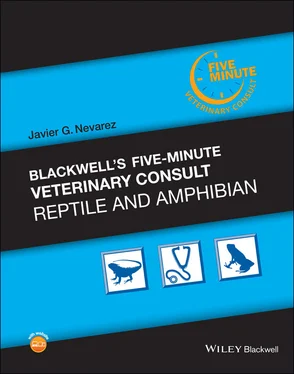 Javier G. Nevarez Blackwell's Five-Minute Veterinary Consult: Reptile and Amphibian обложка книги