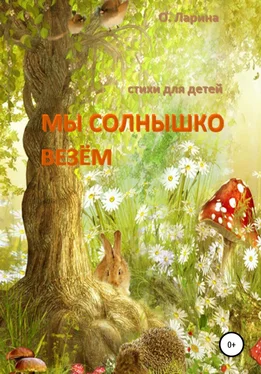 Оксана Ларина МЫ СОЛНЫШКО ВЕЗЁМ. Стихи для детей обложка книги