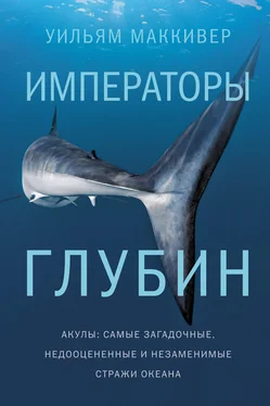 Уильям Маккивер Императоры глубин: Акулы. Самые загадочные, недооцененные и незаменимые стражи океана обложка книги