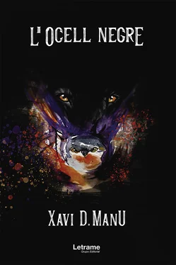 Xavi D. Manu L´Ocell negre обложка книги