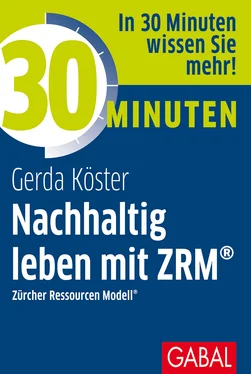 Gerda Köster 30 Minuten Nachhaltig leben mit ZRM® обложка книги