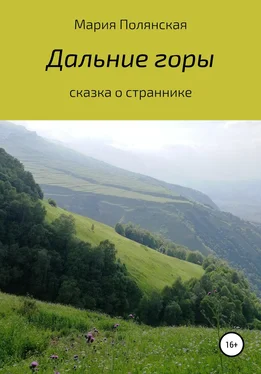 Мария Полянская Дальние горы обложка книги