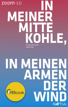 Isabel Folie In meiner Mitte Kohle, in meinen Armen der Wind обложка книги