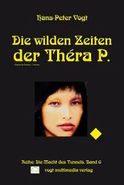 Hans-Peter Vogt Die wilden Zeiten der Théra P. обложка книги