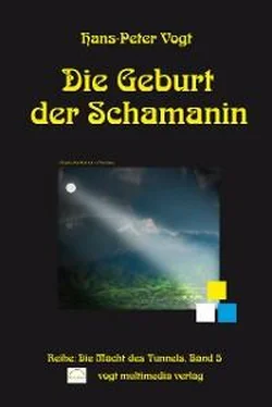 Hans-Peter Vogt Die Geburt der Schamanin обложка книги