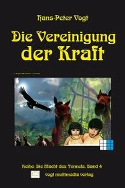 Hans-Peter Vogt Die Vereinigung der Kraft обложка книги