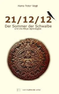 Hans-Peter Vogt 21/12/12 - Der Sommer der Schwalbe und die Maya Apokalypse обложка книги