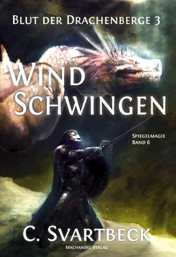 Chris Svartbeck Windschwingen обложка книги