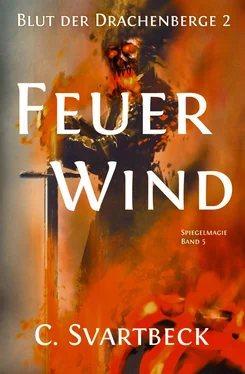 Chris Svartbeck Feuerwind обложка книги