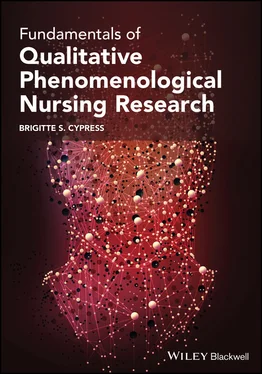 Brigitte S. Cypress Fundamentals of Qualitative Phenomenological Nursing Research обложка книги