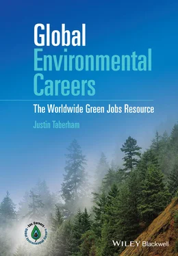 Justin Taberham Global Environmental Careers обложка книги