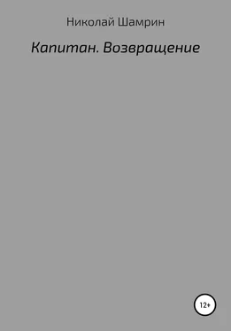 Николай Шамрин Капитан. Возвращение обложка книги