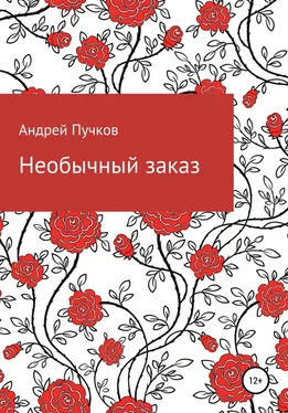 Андрей Пучков Необычный заказ обложка книги