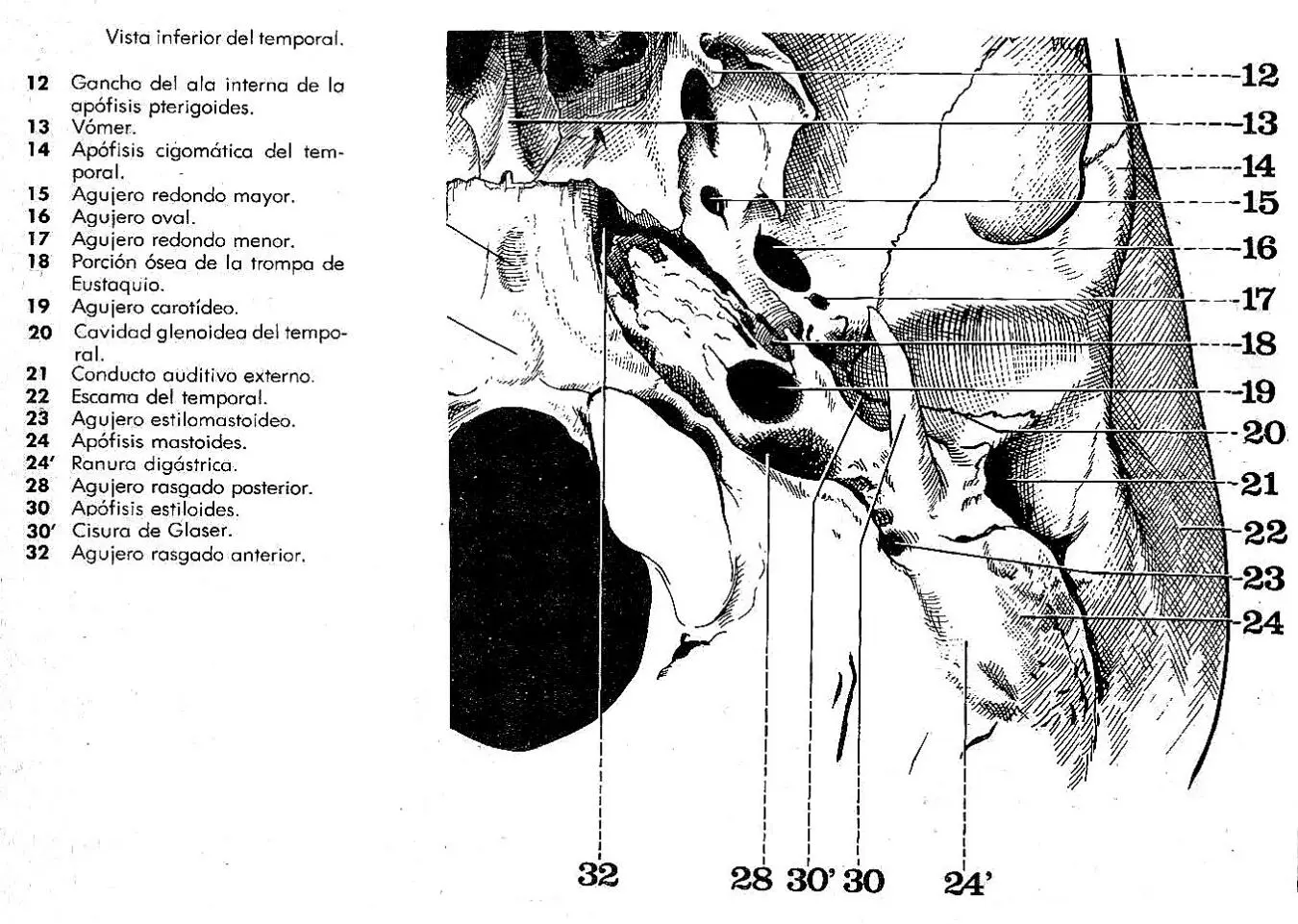 Compendio de anatomía normal de oído por tomografía computada helicoidal 3D - фото 9