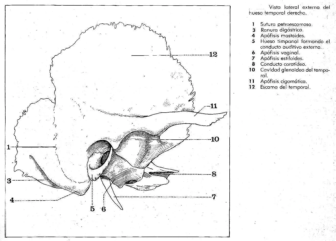 Compendio de anatomía normal de oído por tomografía computada helicoidal 3D - фото 10