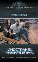 Игорь Шелег - Иностранец. Тернистый путь