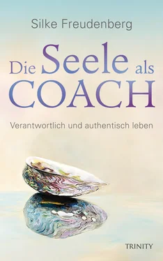 Silke Freudenberg Die Seele als Coach обложка книги