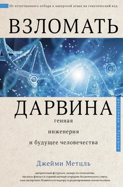 Джейми Метцль Взломать Дарвина: генная инженерия и будущее человечества обложка книги
