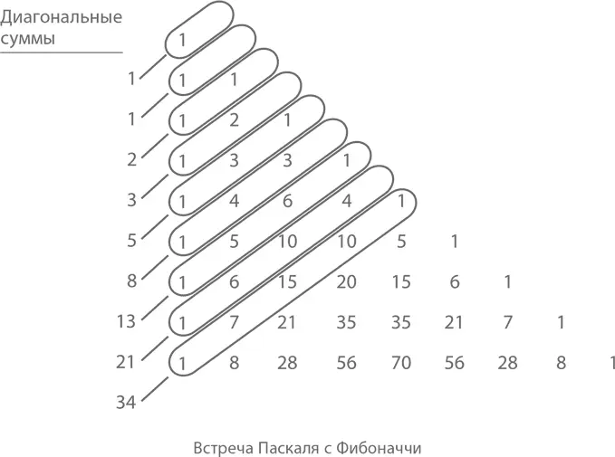 Смотрите какие суммы выходят 1 1 2 3 5 8 13 21 34 Не буду томить - фото 179