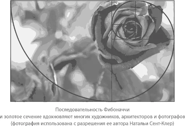 Золотое сечение лежит в основе стольких удивительных математических явлений - фото 237