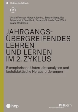 Marco Adamina Jahrgangsübergreifendes Lehren und Lernen im 2. Zyklus (E-Book) обложка книги