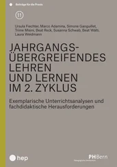 Marco Adamina - Jahrgangsübergreifendes Lehren und Lernen im 2. Zyklus (E-Book)