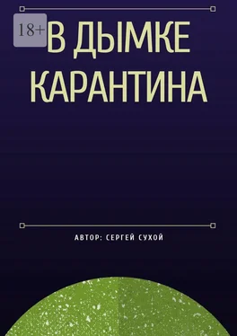 Сергей Сухой В дымке карантина обложка книги