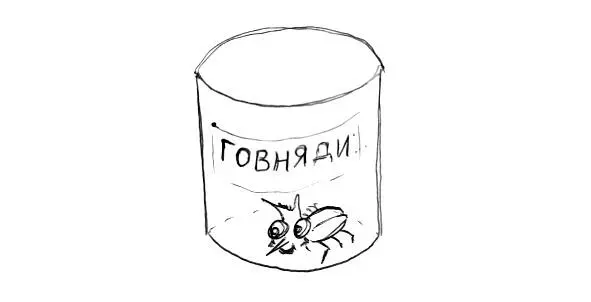 Рис20 Жук внутри консервативной системы Следовательно если рассматривать - фото 26