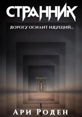 Ари Роден Странник обложка книги