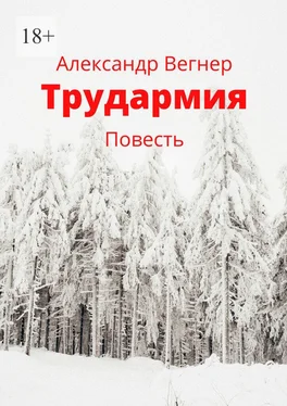 Александр Вегнер Трудармия. Повесть обложка книги