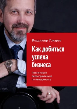 Владимир Токарев Как добиться успеха бизнеса. Презентация видеопрактикума по менеджменту обложка книги