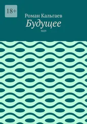 Роман Кальгаев - Будущее. 3029