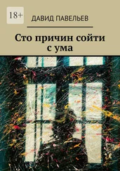 Давид Павельев - Сто причин сойти с ума
