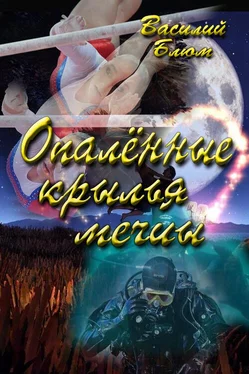 Василий Блюм Опалённые крылья мечты обложка книги