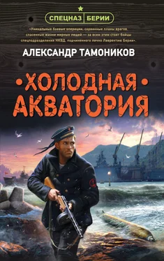 Александр Тамоников Холодная акватория обложка книги