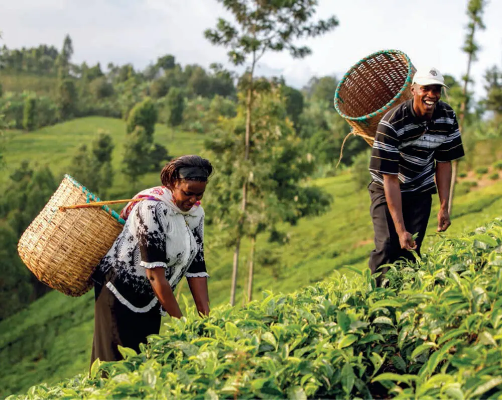 The EIB has invested in the Grameen Crédit Agricole Foundation in 2018 and - фото 6