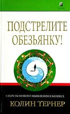 Колин Тернер Подстрелите обезьянку! Секреты нового мышления в бизнесе обложка книги