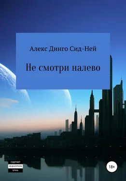 Алекс Динго Сид-Ней Не смотри налево обложка книги