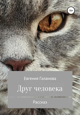 Евгения Галанова Друг человека обложка книги