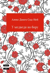 Алекс Динго Сид-Ней - У медведя во бору