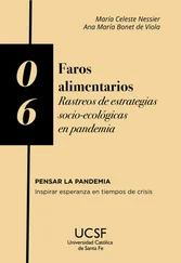 Ana María Bonet de Viola - Faros alimentarios