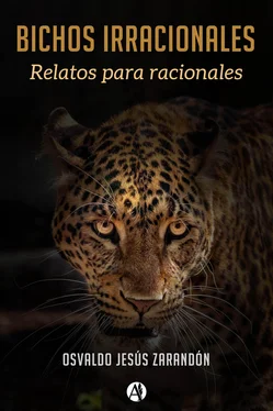 Osvaldo Jesús Zarandón Bichos Irracionales обложка книги